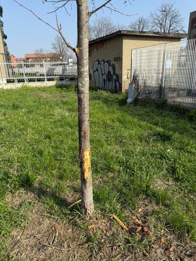 I giardini in cui si è verificata l'aggressione