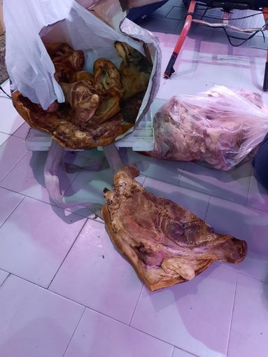 La Polizia Municipale lo ferma per un controllo e scopre che portava 50 chili di carne nel trolley: denunciato