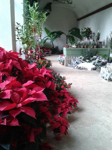 Il mercatino di Natale alla Serra Neogotica del Castello di Miradolo