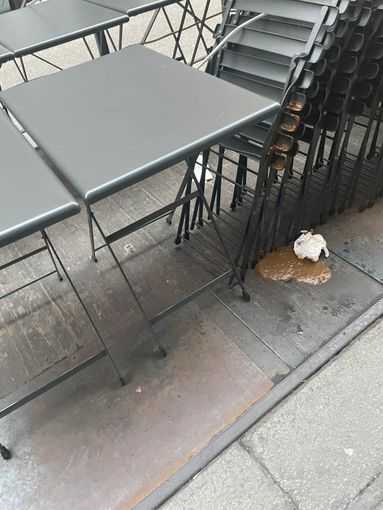 Clochard, escrementi e pipì nel centro di Torino. Negozianti e residenti: "Basta degrado" Clochard, escrementi e pipì nel centro di Torino. Negozianti e residenti: "Basta degrado"