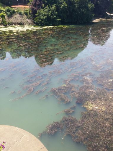 Domenica notte nuovo incremento dei livelli nel tratto piemontese del Po Domenica notte nuovo incremento dei livelli nel tratto piemontese del Po