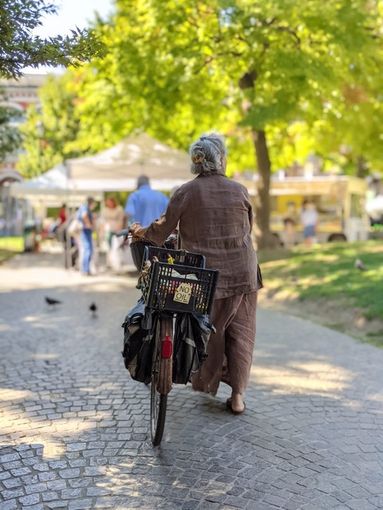 Al Giardino Sambuy, la prima aiuola didattica coltivata a vite Al Giardino Sambuy, la prima aiuola didattica coltivata a vite