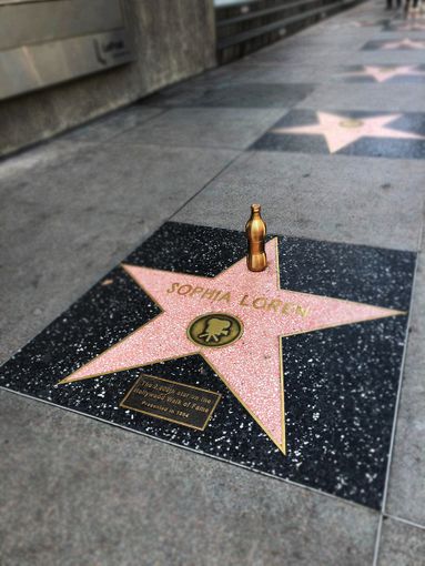 La bottiglia di Molecola ispirata a Sofia Loren e Giorgio Armani premiata a Los Angeles La bottiglia di Molecola ispirata a Sofia Loren e Giorgio Armani premiata a Los Angeles
