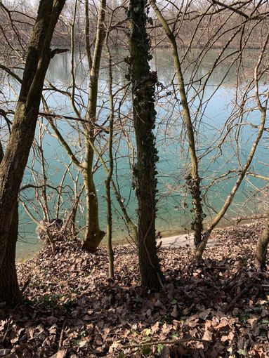 il luogo della caduta al parco del Meisino