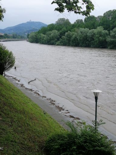 acqua alta