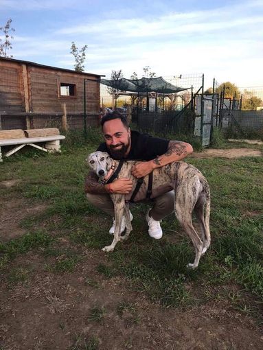 cani a passeggio col padrone