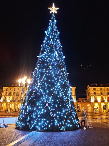 albero di natale