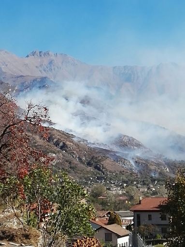 Coldiretti: &quot;Serviranno 15 anni per ricostruire i boschi bruciati dagli incendi&quot;