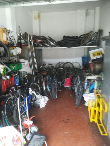 Riconosce in rete la bici che gli era stata rubata, i vigili urbani denunciano la donna che l'aveva posta in vendita sul web Riconosce in rete la bici che gli era stata rubata, i vigili urbani denunciano la donna che l'aveva posta in vendita sul web