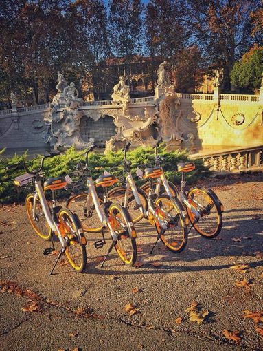 Venerdì 30 aprile torna il Bike to school