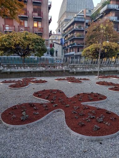 il bosco davanti a Palazzo Nuovo