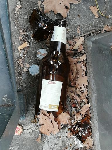 Richiamano un uomo che maltratta il suo cane, ma lui li aggredisce con spranga e bottiglia Richiamano un uomo che maltratta il suo cane, ma lui li aggredisce con spranga e bottiglia