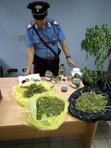 Torino: borsa sospetta nel sottotetto, conteneva 71 chili di droga Torino: borsa sospetta nel sottotetto, conteneva 71 chili di droga