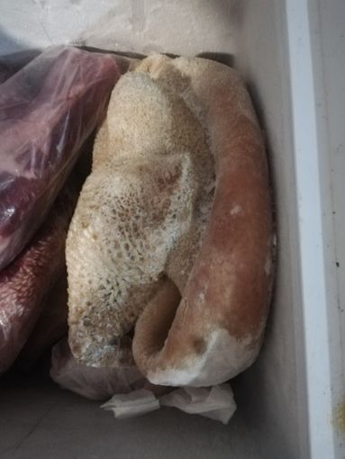 cibo mal conservato e sequestrato cibo mal conservato e sequestrato