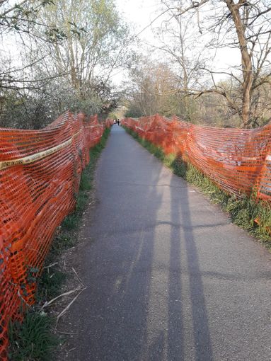Pista ciclabile Bertolla