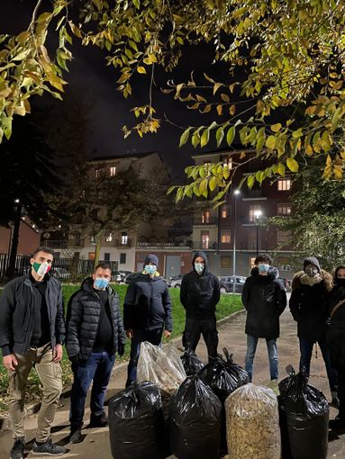In strada per pulire le foglie secche: l'iniziativa di Fdi e Aliud