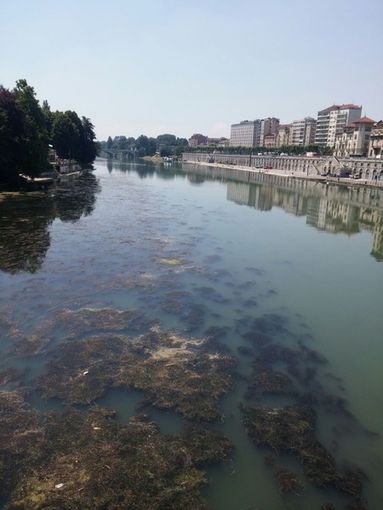 Torino sottoscrive il Manifesto per il Po e istituisce un tavolo per la gestione e fruizione del fiume nel tratto cittadino