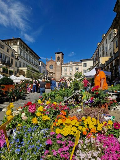 In diecimila nel weekend per la città dei fiori e Moncalieri in luce