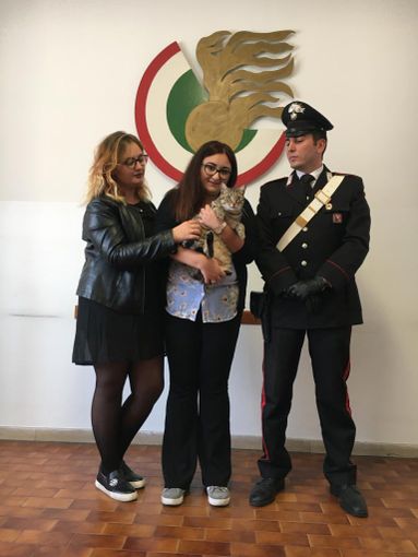 Torino, trova gatto e chiede un riscatto per restituirlo: arrestata