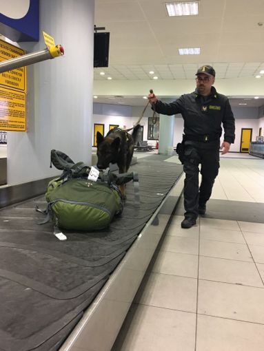 Controlli della Gdf all'aeroporto di Caselle: due persone nei guai