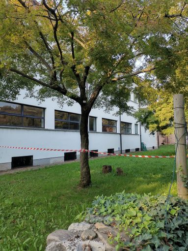 La scuola Leopardi La scuola Leopardi