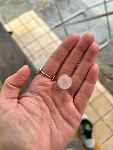 L'allarme di Coldiretti Piemonte, &quot;Maltempo: gravi danni a colture e strutture&quot;