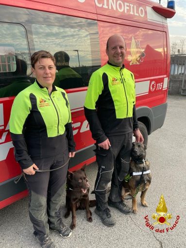 Giornata mondiale del cane 2022: anche i Vigili del Fuoco di Torino celebrano gli amici a quattro zampe