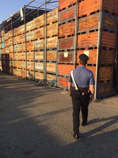 In magazzino ha 14 cassoni di lamiera rubati: denunciato imprenditore In magazzino ha 14 cassoni di lamiera rubati: denunciato imprenditore