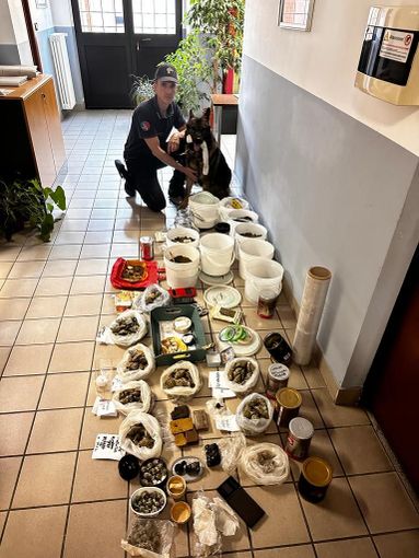 operazione antidroga carabinieri