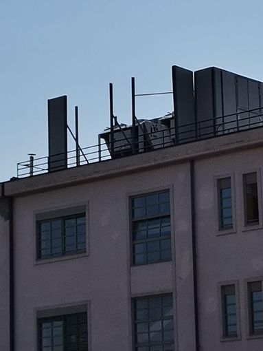 Danni alle pareti insonorizzate della sede dei vigili e dell'anagrafe in Circoscrizione 6, Petrarulo: "Quando si interverrà?" Danni alle pareti insonorizzate della sede dei vigili e dell'anagrafe in Circoscrizione 6, Petrarulo: "Quando si interverrà?"