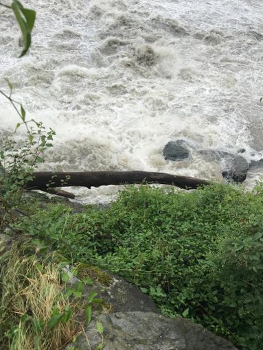 Fiume Po: questa mattina il primo incontro del “tavolo di lavoro”