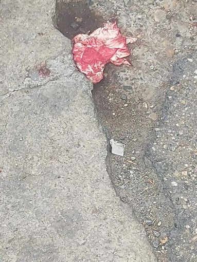 Controlli notturni per la movida, la denuncia del Siulp: "Basta agenti e funzionari in ospedale" Controlli notturni per la movida, la denuncia del Siulp: "Basta agenti e funzionari in ospedale"