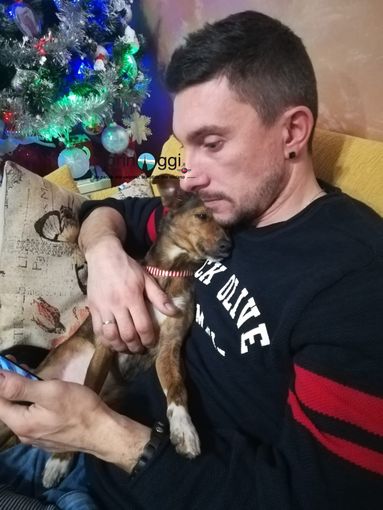 Miracolo di Capodanno: Shelby è tornata a casa dopo 48 ore in fuga dai botti