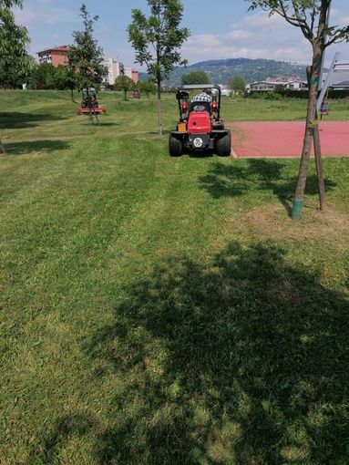 Venaria cerca sponsor per valorizzazione e manutenzione di rotonde e verde pubblico Venaria cerca sponsor per valorizzazione e manutenzione di rotonde e verde pubblico