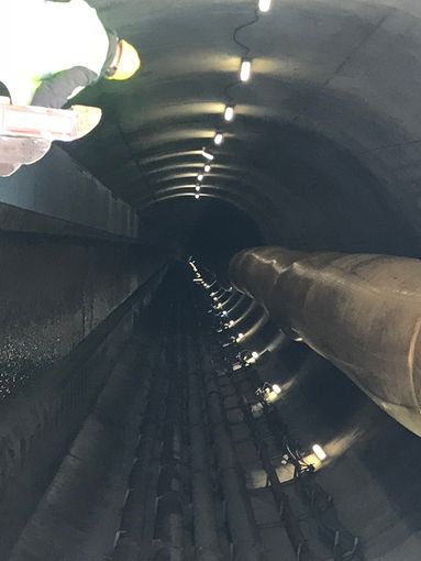 Referendum sull'Alta Velocità, Montaruli - Marrone (FdI): 'Il no dei Grillini al referendum cittadino, ormai sono arroccati nel palazzo, terrorizzati dall'opinione dei torinesi'