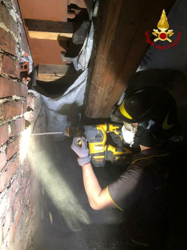 I Vigili del Fuoco portano in salvo un gattino rimasto intrappolato in una canna fumaria