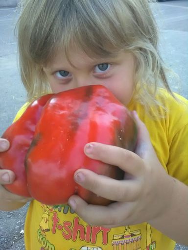 A Carmagnola prosegue la Fiera del Peperone: tutti gli eventi di oggi