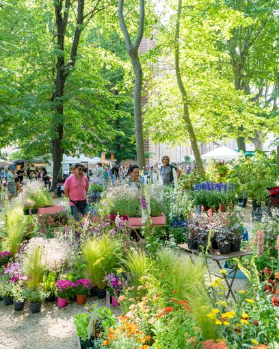 Flor20 versione autunnale: sabato e domenica Torino si rituffa nella natura