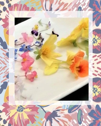 “Mangiare i Fiori” una cena di Gala esclusiva mercoledì 11 maggio a Sanremo: Prenotazioni aperte