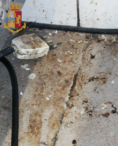 Sequestrati in un ristorante giapponese di corso Vittorio Emanuele II 134 kg di alimenti mal conservati