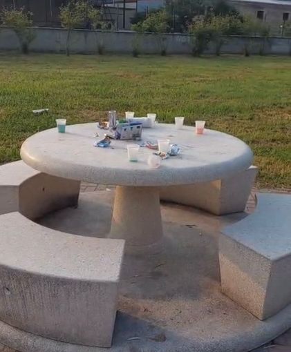 Le condizioni del giardino degli Aironi Le condizioni del giardino degli Aironi