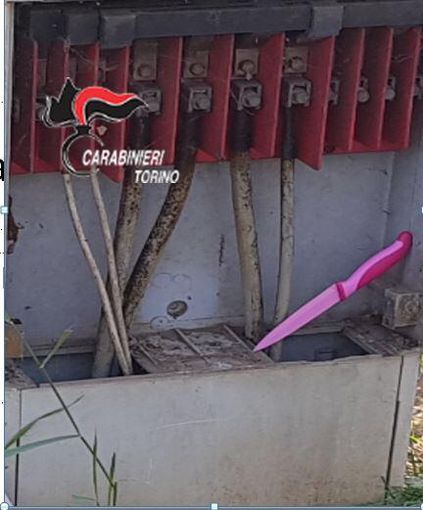 La frase choc del killer dei Murazzi: "Ho ucciso un ragazzo perchè volevo avere una buona risonanza" La frase choc del killer dei Murazzi: "Ho ucciso un ragazzo perchè volevo avere una buona risonanza"