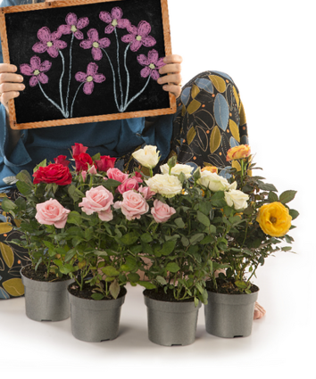 Tornano in piazza le Rose del Sant'Anna