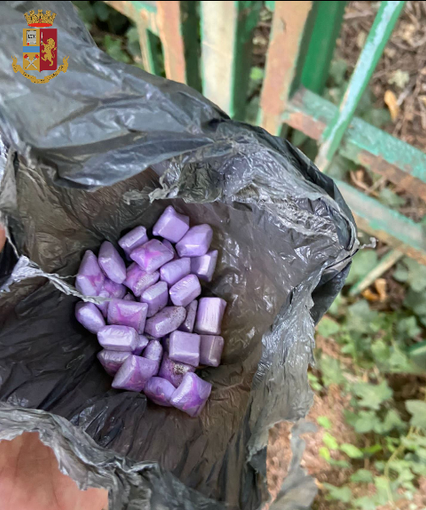 Nasconde in un'aiuola 33 ovuli di crack: arrestato pusher nel centro di Torino