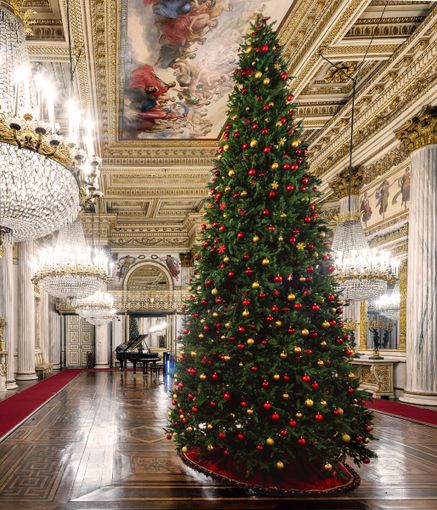 Gli orari di apertura dei musei a Torino durante le festività natalizie