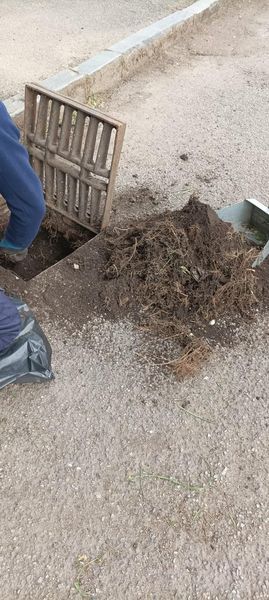 Con i progetti di pubblica utilità Nichelino rimette a posto strade e verde pubblico Con i progetti di pubblica utilità Nichelino rimette a posto strade e verde pubblico