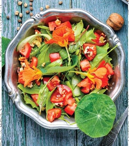 Torino punta su Bruxelles e mette in vetrina cibo e ristorazione Torino punta su Bruxelles e mette in vetrina cibo e ristorazione