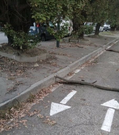 Via Tempia trappola per residenti e automobilisti