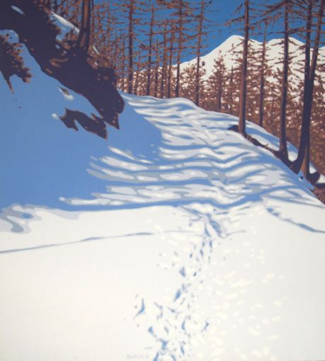 I Lions del torinese promuovono raccolta fondi per l'Ospedale di Verbania