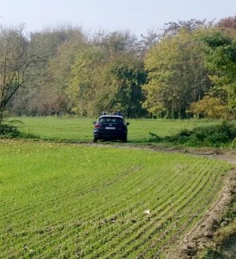 Ambulante trovato morto nelle campagne di Chivasso: coppia di Brandizzo denunciata per occultamento di cadavere